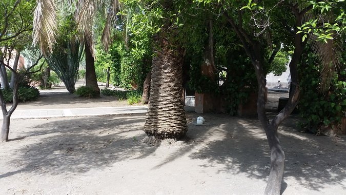 (87) Complesso Monastico - Giardino dei Novizi